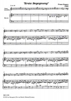 Erste Begegnung – Frans Geysen Erste Begegnung – Frans Geysen