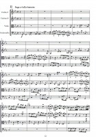 EM 2221 Tomesini -il Gardino  EM 2221 Tomesini -il Gardino